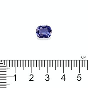 TN0381 : 2.69ct AA Violet Blue Tanzanite – 10x8mm