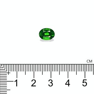 TS0059 : 2.45ct Vivid Green Tsavorite – 9x7mm